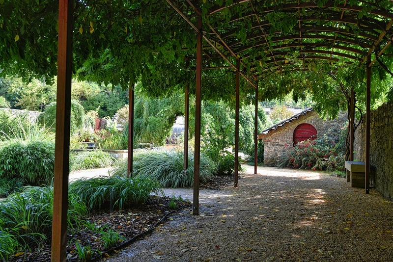 Ethereal Arbors